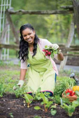 Easy Garden Plans